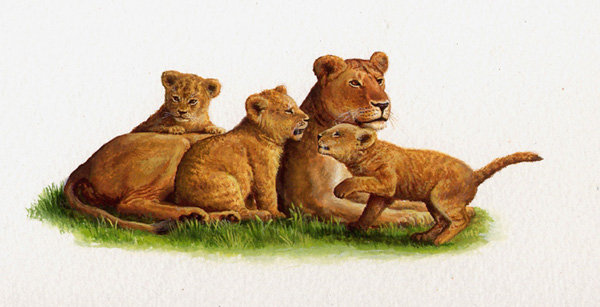 Lionne et lionceaux
