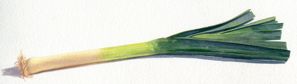 Poireau